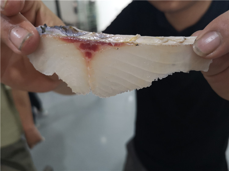 60f0f1037fd1c.jpg