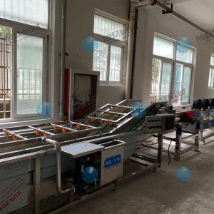 果蔬氣泡清洗機(jī)風(fēng)干流水線多少錢？