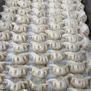 JGB-10型一體式餃子機(jī)現(xiàn)場試機(jī)，效果棒棒噠?。。?！